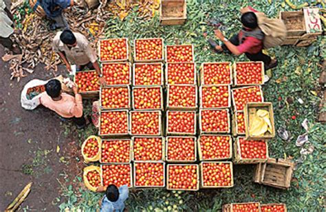 So here i am with new video. Supply Chains: India's Food Fight - TIME