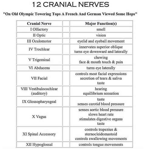 Cranial Nerves Cheat Sheet