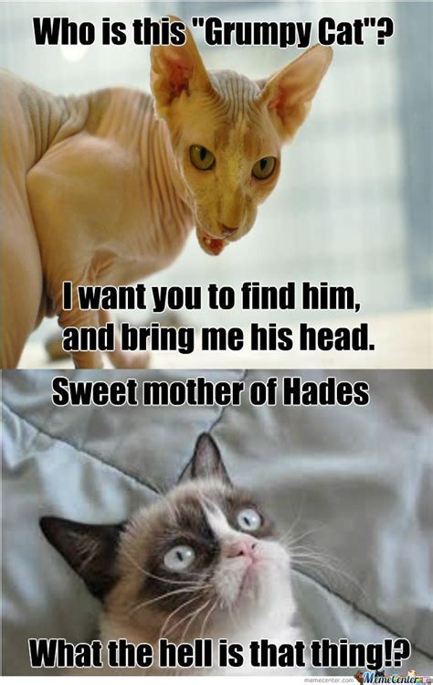 Cats are always known for their smart minds, and they especially attracted us by there cuteness. Top 24 Random Funny Memes Clean for Today in 2020 | Funny grumpy cat memes, Funny cat memes ...