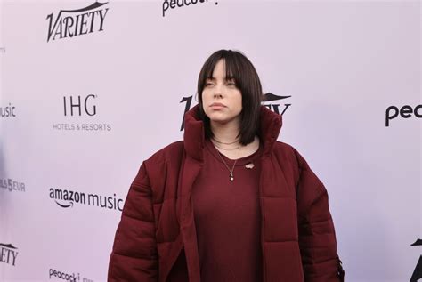 Billie Eilish Pauses Concert To Rescue Fan Experiencing Breathing Issues Gives Him Inhaler Did