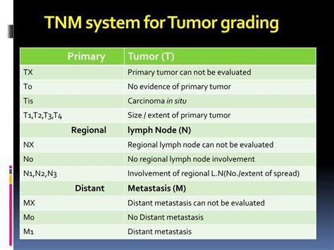 Ppt Chemicals And Cancer Powerpoint Presentation Free Download Id