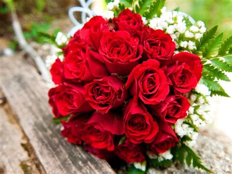 Maybe you would like to learn more about one of these? How to pick the perfect flowers for Valentine's Day - ABC News