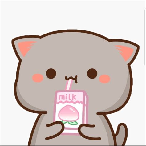 Pin By Karen Sovak On Adorbs Cute Anime Cat Chibi Cat Kawaii Cat