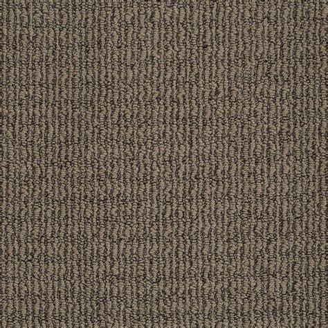 Stainmaster Trusoft Unequivocal Lasso Brown Carpet Sample At