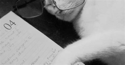 Elevate Your Game with Productive Procrastination | Psychology Today