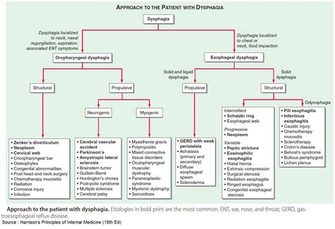 Approach To The Patient With Dysphagia Classification Grepmed