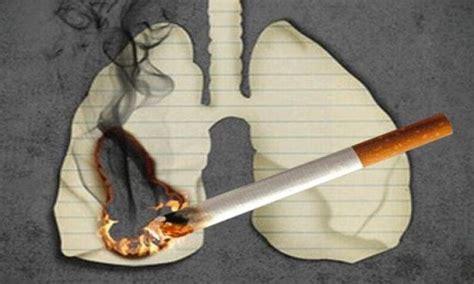 16 نوعاً من السرطانات سببها التدخين جريدة الوحدة