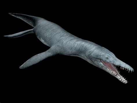 Prehistoric Sea Monster Pictures National Geographic
