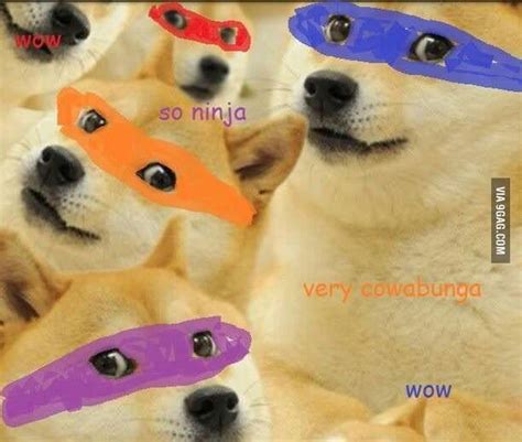 Doge Wow Funny Memes Meme Characters Funny Meme Pictures