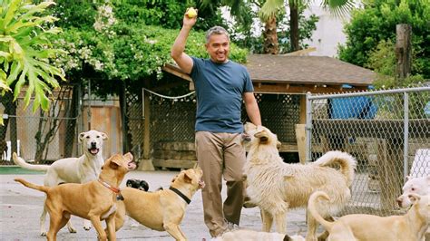 Cesar Millans Long Walk To Becoming The Dog Whisperer Kuow News