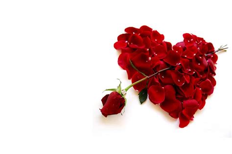 Día De Los Enamorados ¿por Qué Se Celebra Cada 14 De Febrero San Valentín Canal 26
