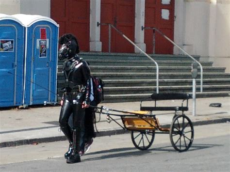 A Bdsm Pony Pulling A Cart Surprisingly Safe For Work 38054 Hot Sex