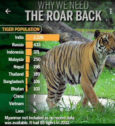 Different Types Of Tigers Found In India Animal Enthusias Blog