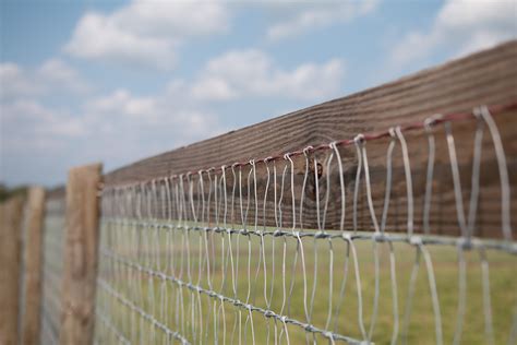 Mesh Fence Horsefence Horse Fencing Horses Horse Equipment