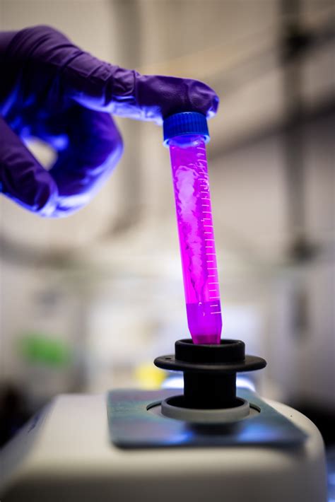 Sandia National Laboratories News Releases Sandia Scientists Achieve