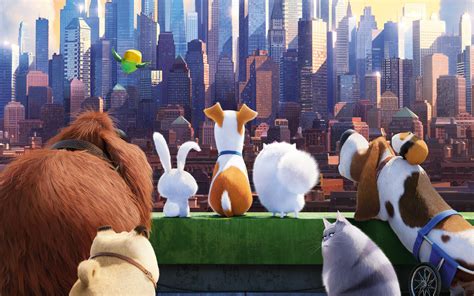 The Secrete Life Of Pets Movie Hd Movies 4k Wallpapers Images