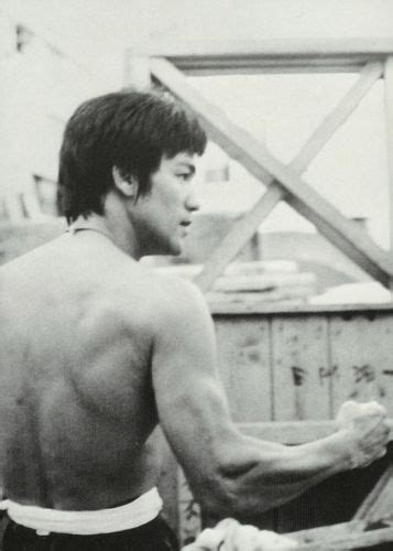 Bruce Lee Bruce Lee Wallpaper 26492379 Fanpop