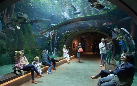 Most of these coupons were posted with no expiration date for a long time. California Academy of Science | Travel + Leisure