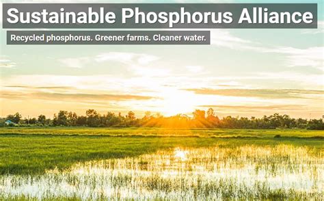 Sustainable Phosphorus Alliance Biodesign Swette Center For