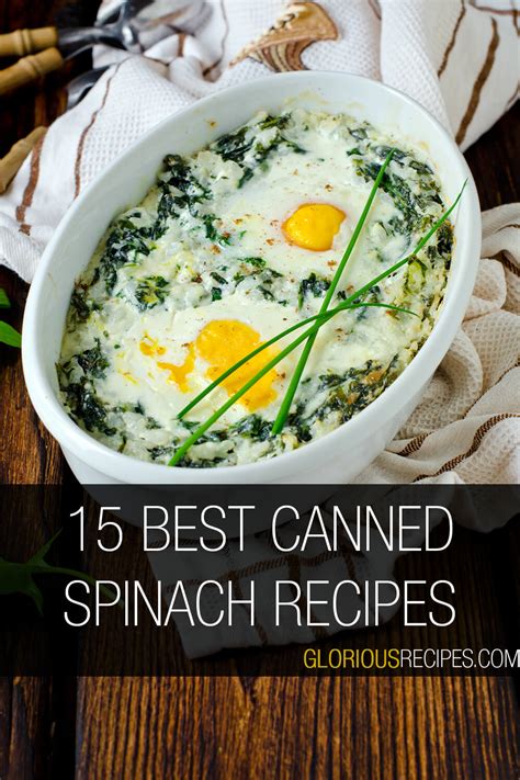 15 Best Canned Spinach Recipes To Try