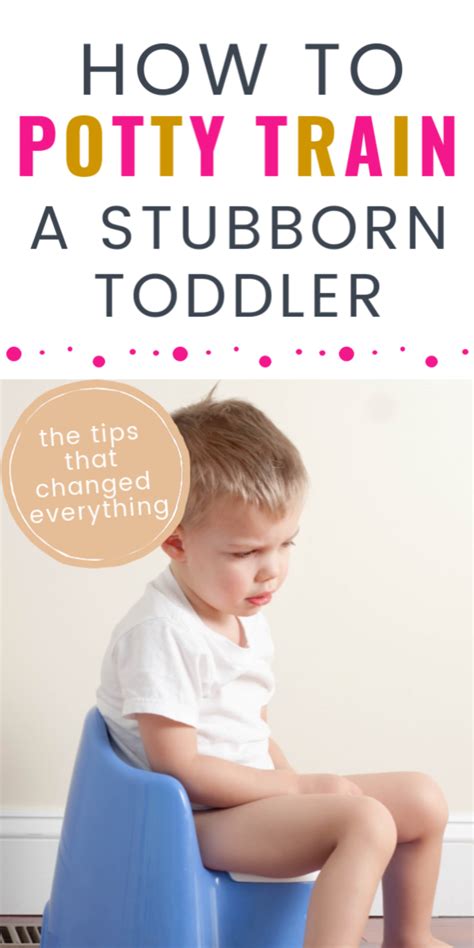 How To Potty Train A Stubborn Toddler Potty Training Kids Potty