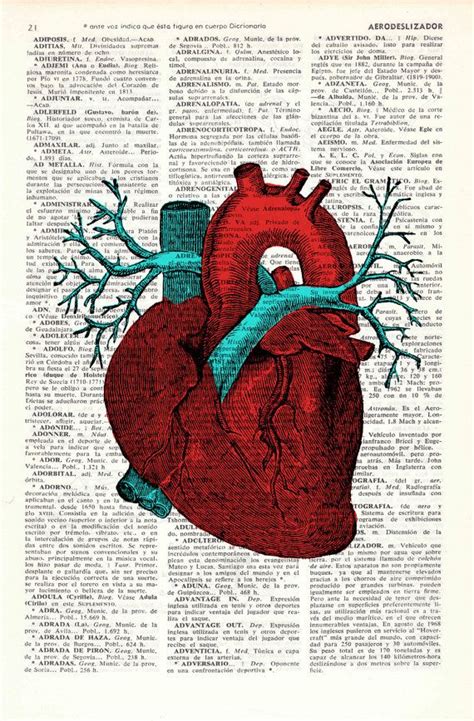 Wall Art Print Human Heart Wall Art Anatomy Study Print Etsy