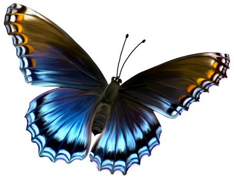 When designing a new logo you can be inspired by the visual logos found here. Download Amazing Butterfly HQ PNG Image | FreePNGImg