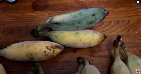 Fact Check Blue Java Bananas ARE Real But They Do NOT Stay Blue Or Have Blue Flesh Like The