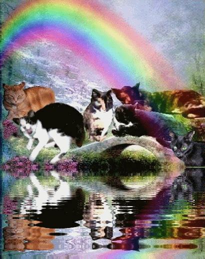 Photo Gallery And Rainbow Bridge Pictures Pet Loss Grief Support