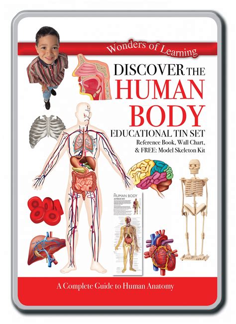 Discover Human Body Science Kit Science And Nature