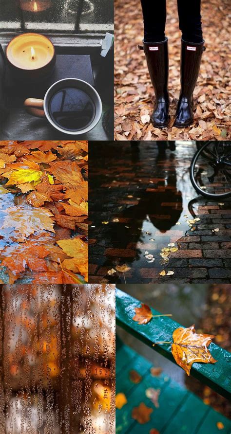 Create A Fall Inspiration Board Autumn Inspiration Fall Pictures
