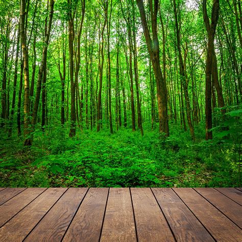 Natural Green Forest Photo Background Photography Backdrops Cloth