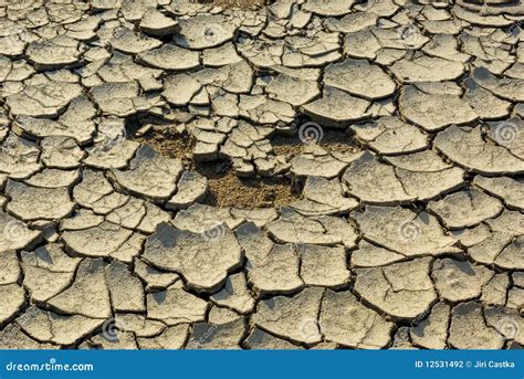 Very Dry Land Stock Photography Image 12531492
