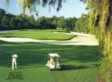 Avila Golf And Country Club Jacknicklaus Golf Nicklaus