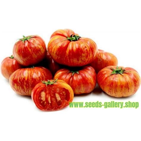 Tigerella Tomato Seeds Price €185