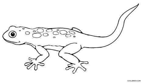 Lizard Coloring Pages - Kidsuki