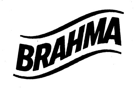 Brahma Bsyd Corporation Trademark Registration