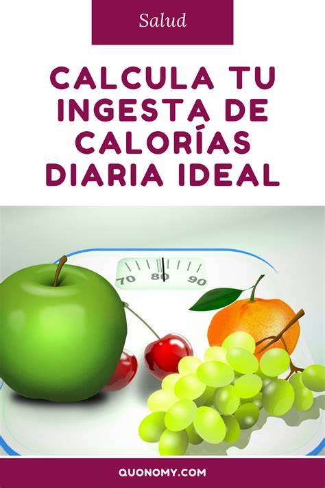 C Mo Calcular Tu Ingesta Diaria De Calor As Ideal Calorias Salud Diario