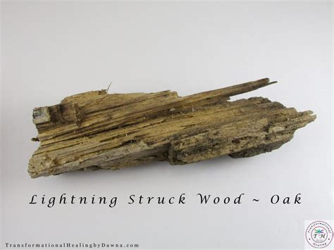 The Power Of Lightning Struck Wood Transformational Healing By Dawna