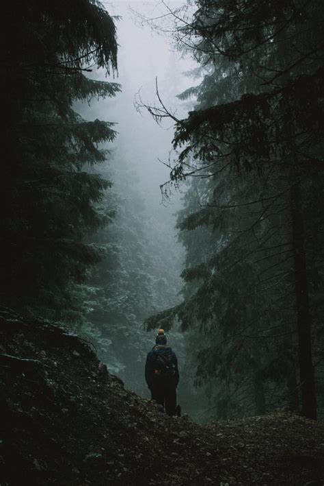 Itap Of My Friend Walking In The Forest Itookapicture