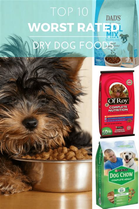 Top 6 worst wet dog foods. Buyer Beware: 2020's 10-Worst Rated Dry Dog Food Brands