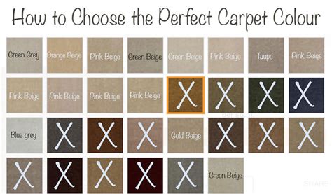 What Colour Walls To Go With Beige Carpet