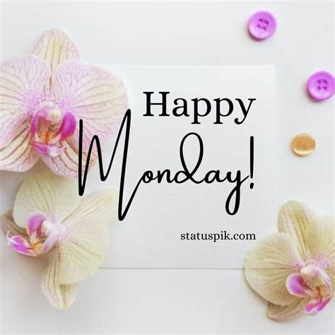 130 Good Morning Happy Monday Images To Inspire Your Success
