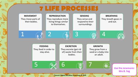 Living Things7 Life Processesgr4term 1ns Teacha