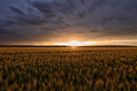 Stormy Sunset Over A Kansas Wheat Field Oc Stormy Sunset Fields
