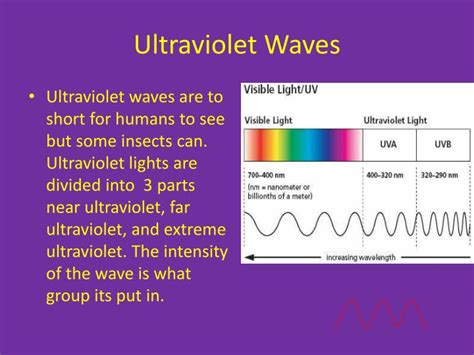 In Physics What Type Of Light Is Uv Ultraviolet The Fact Base