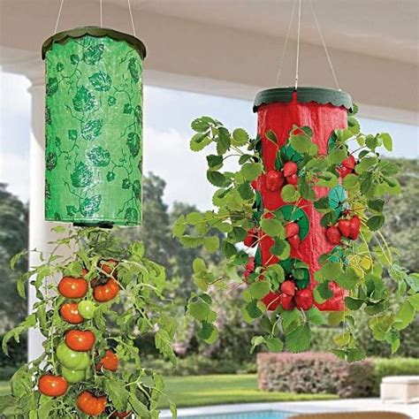 25 Creative And Efficient Tomato Planter Ideas To Try