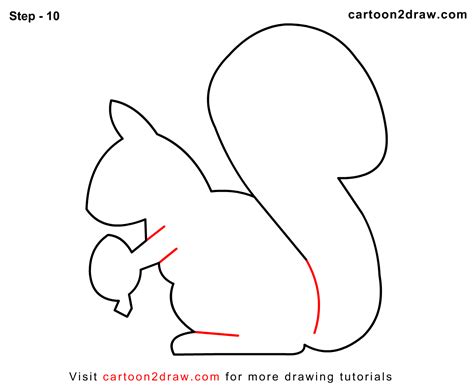 026 How To Draw Cartoon Squirrel Step 10 1302×1075 Cartoon