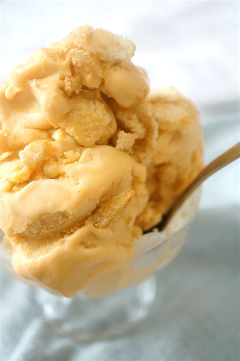 Ginger Cookie Crunch Ice Cream Paleo Aip Vegan Grazed And Enthused