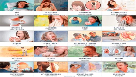 Top 60 Imagenes de enfermedades en ingles y español Theplanetcomics mx